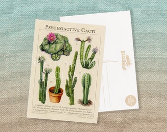 Psychoactive Cacti Postcard