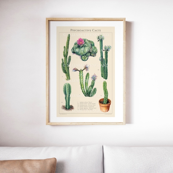 kunstpflanzen olivenbaum Olivenbaum Kunstpflanze 210cm günstig online kaufen main image 1