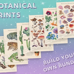 Botanical Art Print Bundle - Build your own poster set!