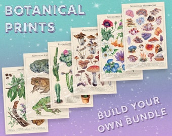 Botanical Art Print Bundle - Build your own poster set!