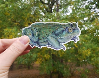 May include: A green and brown toad sticker with a white background. The toad has a large, round eye with a yellow iris and a black pupil. The toad is sitting on its hind legs with its front legs tucked in.