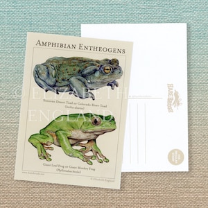 Amphibian Entheogen Postcard