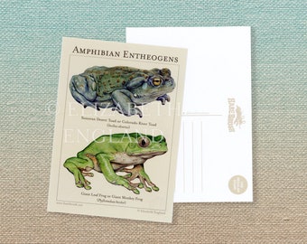 Amphibian Entheogen Postcard