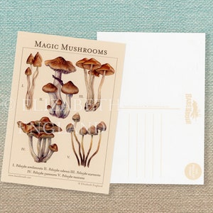 Magic Mushrooms Botanische Postkarte