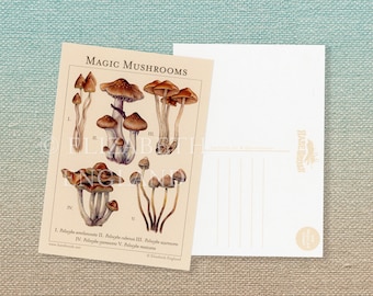 Magic Mushrooms Botanical Postcard