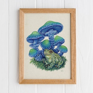 Toad and Teal Mushrooms - 8x10&quot; Art Print
