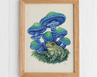 Toad and Teal Mushrooms - 8x10" Art Print
