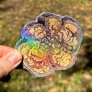 Può includere: Un adesivo olografico con un design astratto dettagliato che ricorda un fiore con una finitura iridescente arcobaleno.