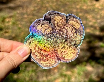 Ayahuasca "Vine of the Soul" (Banisteriopsis caapi) - Rainbow Glitter Holographic Vinyl Sticker