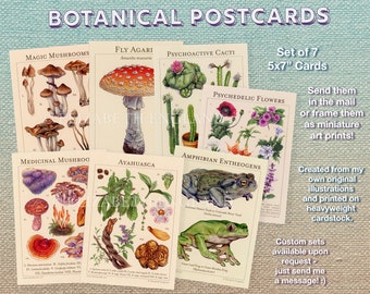 Botanical Postcard Set - 7 Cards - Magic Mushrooms, Medicinal Mushrooms, Ayahuasca, Fly Agaric, Psychedelic Cacti and Flowers