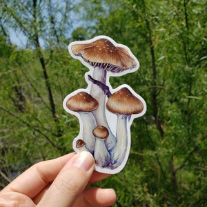 May include: A sticker featuring a detailed illustration of a cluster of brown mushrooms with white stems and purple-blue accents.