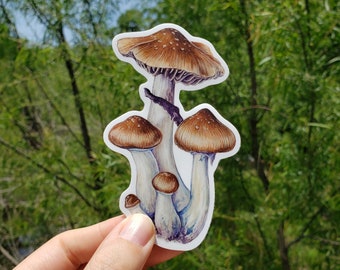 Psilocybe cubensis (Shroom, Magic Mushroom) - 4" Vinyl Sticker
