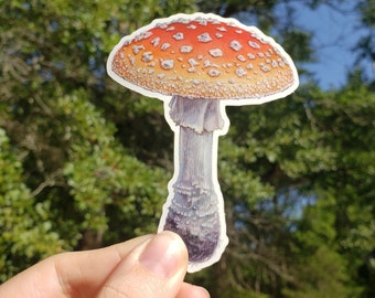 Fly Agaric (Amanita muscaria) - Vinyl Sticker