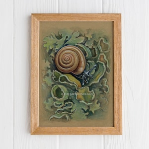 Snail and Lichen - 5x7&quot; Original Art Print (Postcard Size)