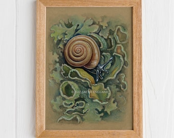 Snail and Lichen - 5x7" Original Art Print (Postcard Size)