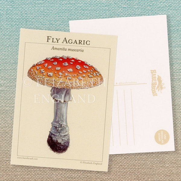 Fly Agaric (Amanita Muscaria) Botanical Postcard