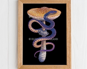 Shroom of Asclepius - 8x10" Art Print