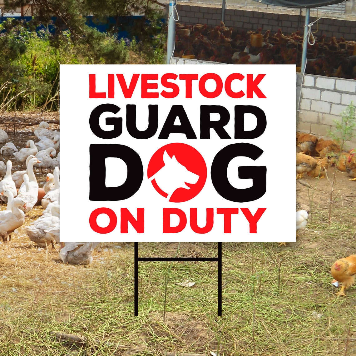 Livestock Guard Dog on Duty Yard Sign 24 x 18 Etsy