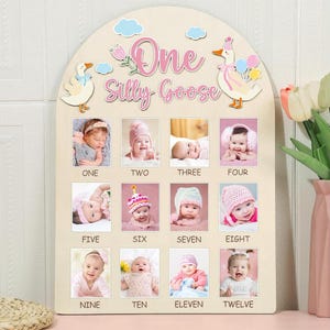 One Silly Goose First Year Photo Board, Baby's First Year Photo Display 12 Months Milestone Sign Wood Board 1st Birthday Picture Frame Decor