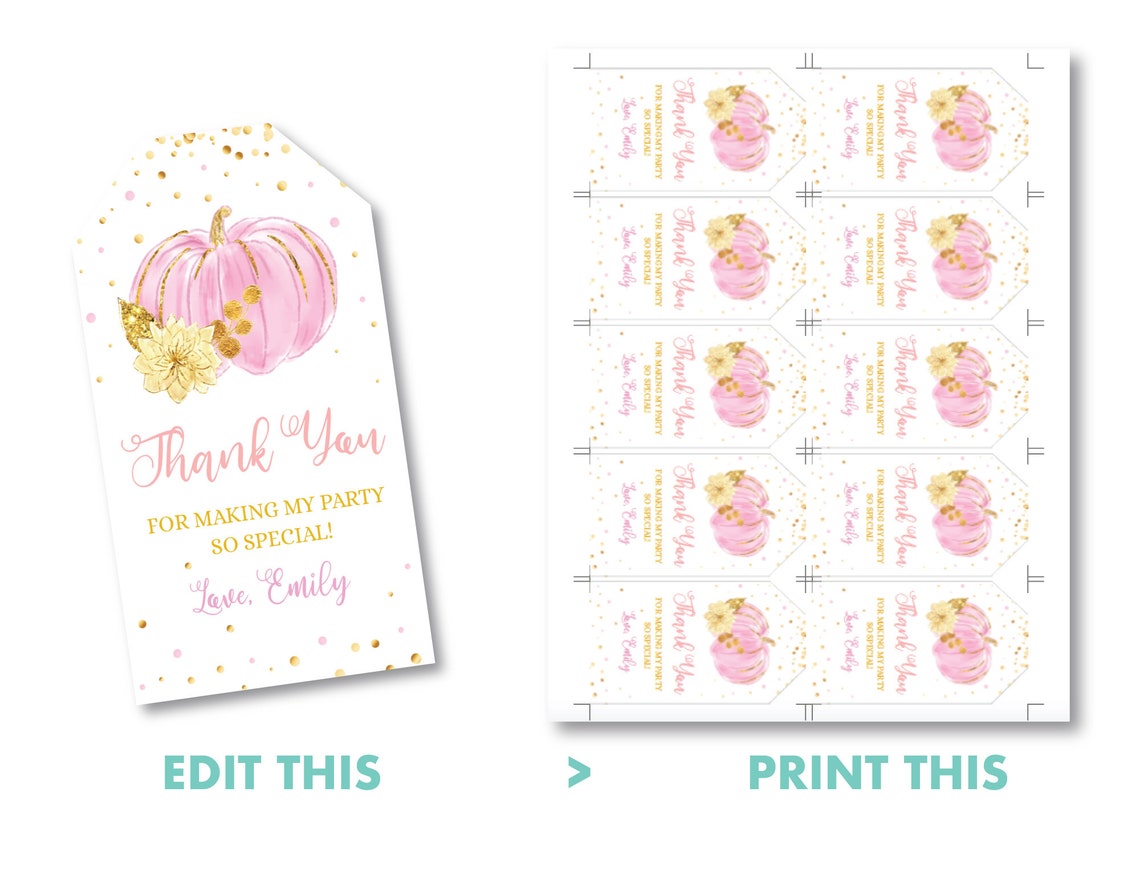 Pumpkin Thank You Tags Printable Pumpkin Birthday Party Gift - Etsy