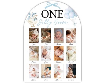 One Silly Goose Photo Board, Boys Blue Goose First Year Photo Display 12 Months Milestone Sign Wood Board 1st Birthday Decoration