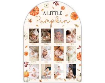 Pumpkin 1st Birthday Photo Board, Fall Little Pumpkin First Year Photo Display 12 Months Milestone Sign Wood Board 1st Birthday Decoration