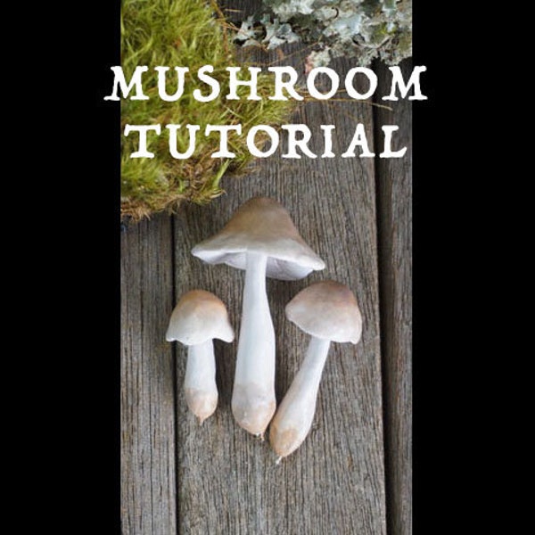 PDF Mushroom Tutorial Download... diy mini mushrooms wreath dream catcher mystical witch decor