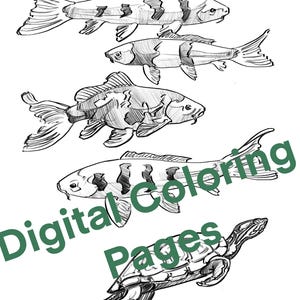 Koi Fish and Turtle Coloring Book Page |Baby Animals Coloring Page Book, Adults + kids Instant Download Grayscale Coloring Page