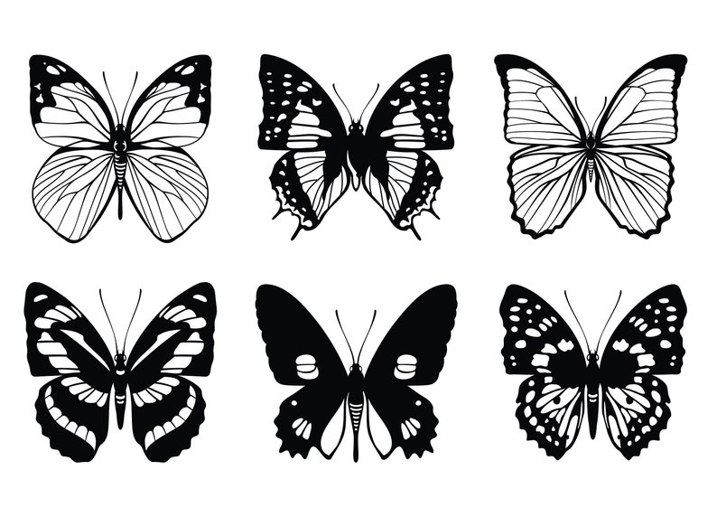 Download 6 x Butterflies SVG Butterfly Vector Butterfly Silhouette ...