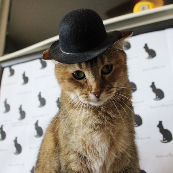 Bowler Cat Hat for your Cat - Medium