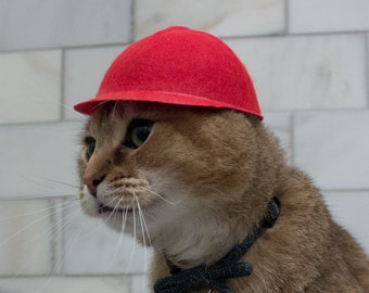 Big Red Baseball Cat Hat - Baseball Cap - Backwards Hat