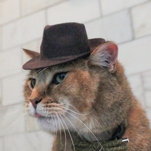 Indiana Jones Fedora for your Cat, Indiana Jones hat for Dog or Pet