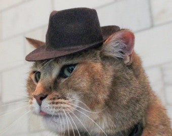 Indiana Jones Fedora for your Cat, Indiana Jones hat for Dog or Pet
