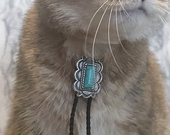 Turquoise Frame Western Bolo Tie for Your Cat/Dog w/ FREE SHIPPING