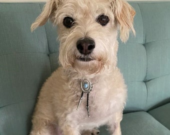 ¡Corbata de bolo occidental para su perro, perros grandes, cualquier perro!