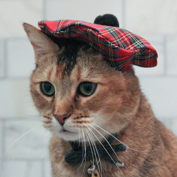 Scottish Cat Hat - Red Tam Beret for your Cat FREE SHIPPING