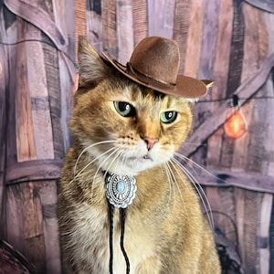 Chapeau de cowboy chat marron LIVRAISON GRATUITE