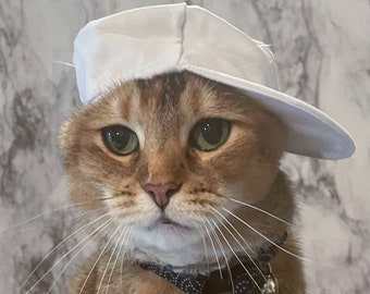 Cloth White Baseball Cat Hat - Baseball Cap - Backwards Hat