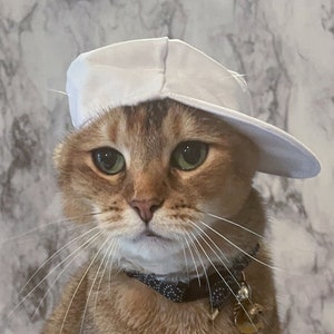 Cloth White Baseball Cat Hat - Baseball Cap - Backwards Hat