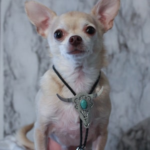 Cow Skull Western Bolo Tie for Your Dog/Cat  w/ FREE SHIPPING