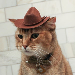 Brown Cowboy Cat Hat FREE SHIPPING image 4