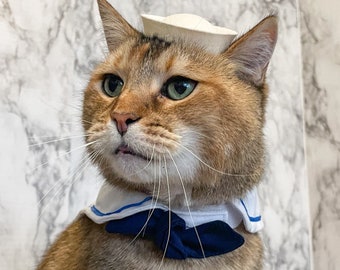 Sailor Cap for your Cat - Sailor cat for your pet or dog