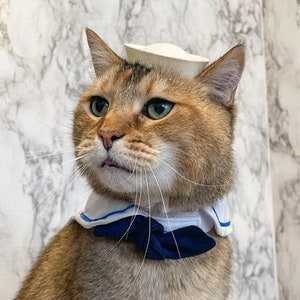 Sailor Cap for your Cat - Sailor cat for your pet or dog