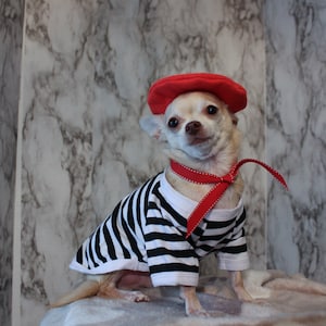 Complete French Dog Outfit- Dog Beret, Ascot and Striped Shirt Pet outfit -- FREE SHIPPING