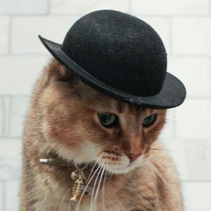 Red Cowboy Cat Hat for Your Cat 