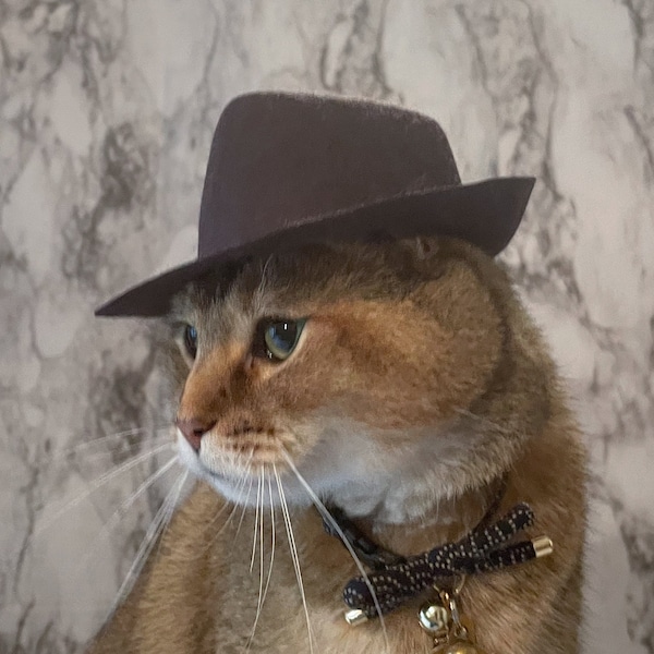 Large Indiana Jones Fedora for your Cat, Indiana Jones hat for Dog or Pet
