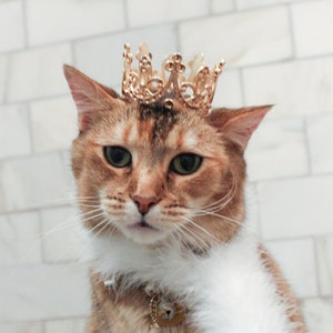 Metal Cat Crown - Cat King or Queen - Crown for Cat - Crown for Dog - Crown for Pet - Crown for whatever!