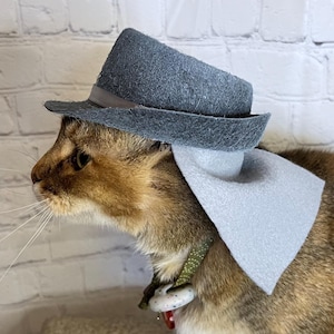 Może przedstawiać: Kot w szarym kapeluszu fedora i pasującej szarej muszce. Kot ma brązowe i złote futro i nosi zieloną obrożę z biało-czerwoną zawieszką. Tło to biała ceglana ściana.