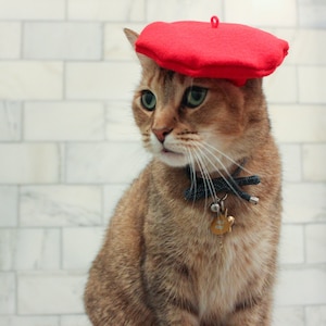 Chapeau béret rouge pour votre chat-- LIVRAISON GRATUITE