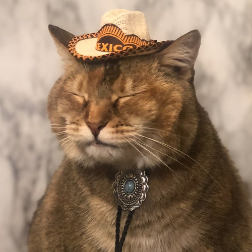 Black Top Hat Cat Hat FREE SHIPPING Etsy